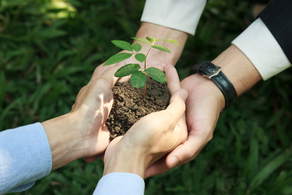 Collaboration between the government, the private sector and the public to help plant trees according to the concept of NET ZERO, ESG, pushing all parties to conduct business with environmental.