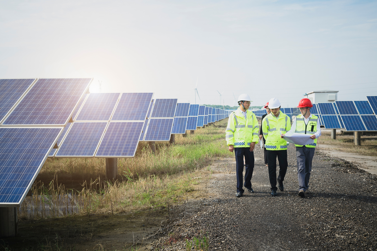 Engineers reconnaissance in green energy base