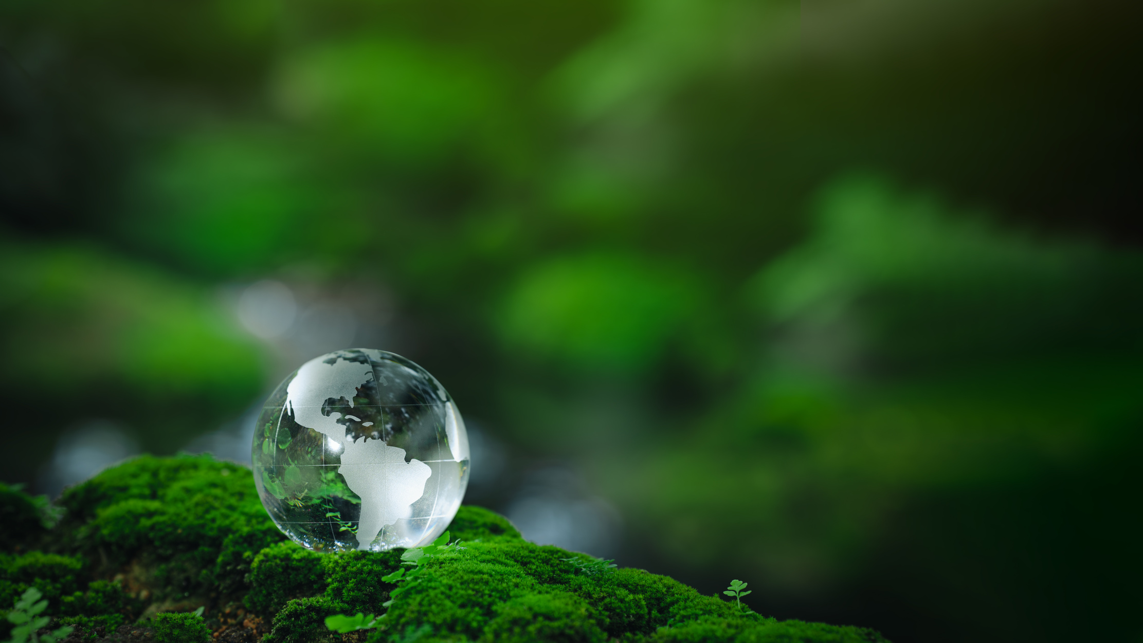 Environmental concept - Crystal Earth on forest moss with fern and sunlight - environment, save clean earth, net zero, esg ecology concept. Earth day banner